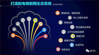 配電物聯(lián)網(wǎng)技術(shù)發(fā)展構(gòu)想 網(wǎng)絡(luò)技術(shù)開發(fā)新藍(lán)圖